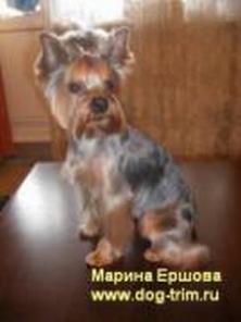 ������� �����. ������� �����. ����� �������