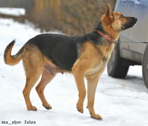 ���� �������� ������� � ������ ����, 1-2 ����.