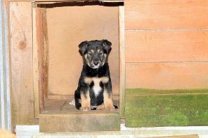 ����� 3,5 ������. � ���