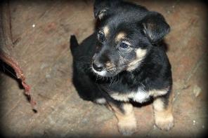 ����� 3,5 ������. � ���