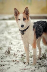 ����� ���� ������ �������