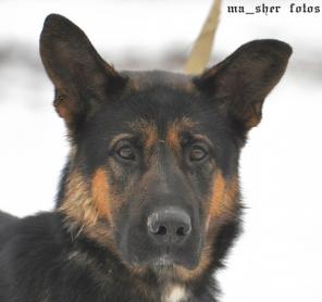 ����������� ������ ������������������� ������� ����� 1,5 ��� - � �������� ����!