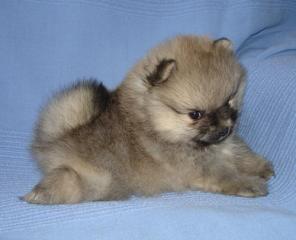 ��������� ����� ������������ �����