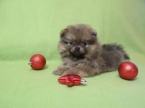 ��������� ����� ������������ �����