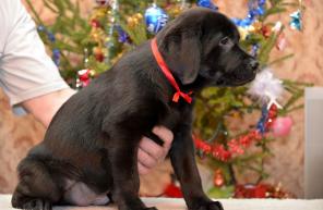 ����� ��������� ������� ������