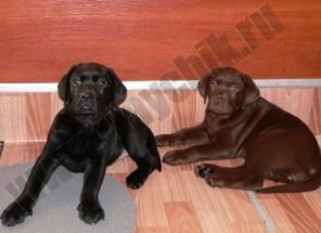 ����� ��������� � �������� ���!