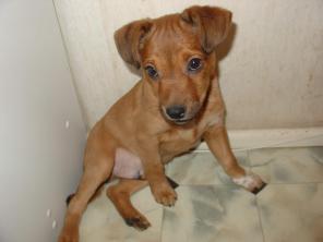 ��������, �������, ��������  ����� - ����� ����