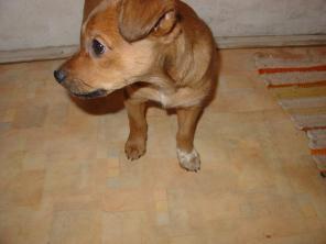 ��������, �������, ��������  ����� - ����� ����