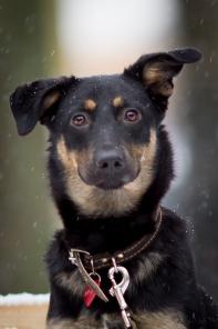 ������� ����� � �����. ����� � ���