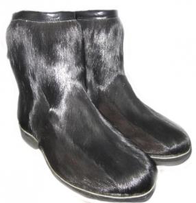 ����������� ����, ����, ���� �� ������ ��������� �����.