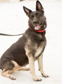 ������� ���� ��� ����� � ������ ����