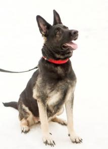 ������� ���� ��� ����� � ������ ����