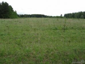 ��������� ����� 512 �� �/� ���� � �������� �������