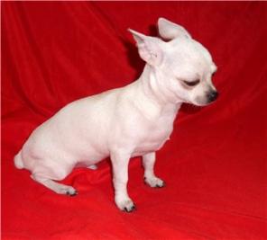 �����   ��������