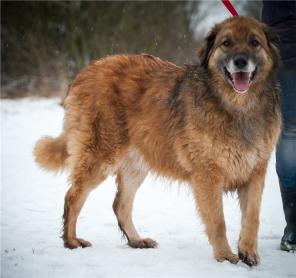 �����, ����� ����������� � ���