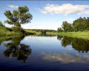 ������ �������