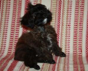 ����� ������������� �������