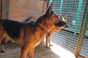 �������, ����� �������� ������� � ������ ����