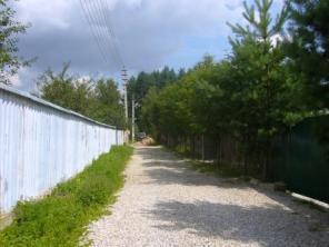 ������ 4 ��� ���������� �-� �. ���������� ���������� � �� ���� 25 ��