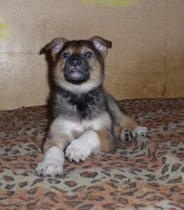 ����� � ������ ����