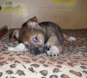 ����� � ������ ����