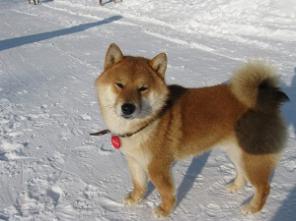 ���� ��� ���� ��� �����