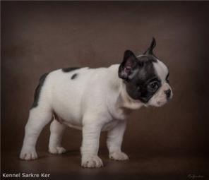 ����� ������������ ��������. �������� ����� ���.