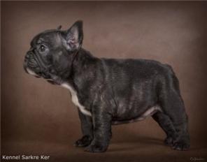 ����� ������������ ��������. �������� ����� ���.