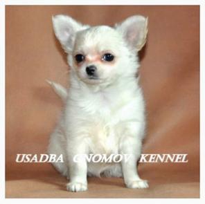 �������� ������� ����-��������