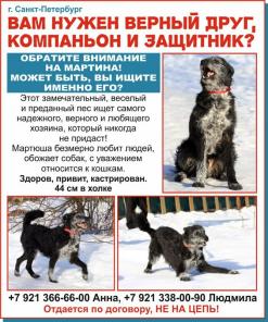 �������-��� ��������� ����!