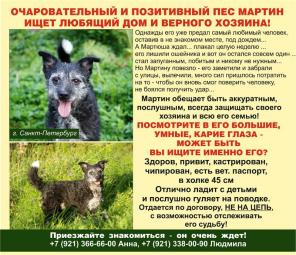 �������-��� ��������� ����!