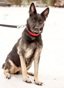 ������� ���� ���  ���� ����� � ������ ����