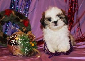 ��������� ����� ��-���, �������� "Feel of Pride"