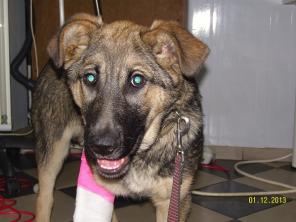 ����� ����� ������!