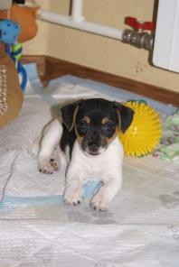 ����� ���� ������� �������