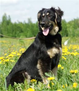 ������ � ��� - �������, ����� ��������� �����