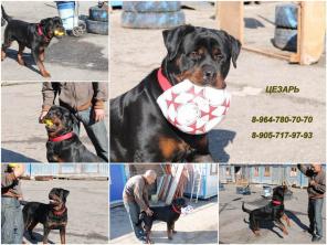 ������ - ������� ������������� ������ ���������!