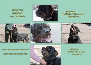 ��������� ������, ��� ������ ��� ���� �����.