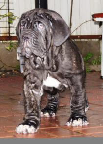 ����� ������� ����������