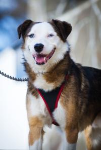 ������������ ��� - ����� ����� � ���