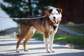 ������������ ��� - ����� ����� � ���