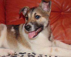 ����� � ��� ������ ������� �����.