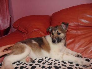 ����� � ��� ������ ������� �����.