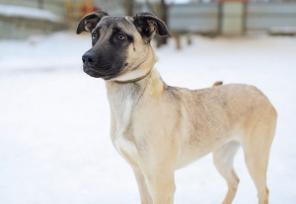 ������ ���� � ������ ����!