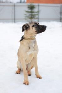 ������ ���� � ������ ����!