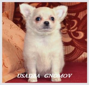 �������� ������� ����-��������