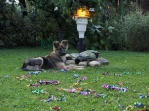 ���������� ������