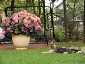 ���������� ������