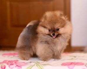 ������� � ��������� ����� ������������ �����