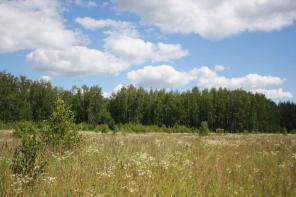 ��������� ��������� ������� 33 �����, ��������� ���, �. �������.